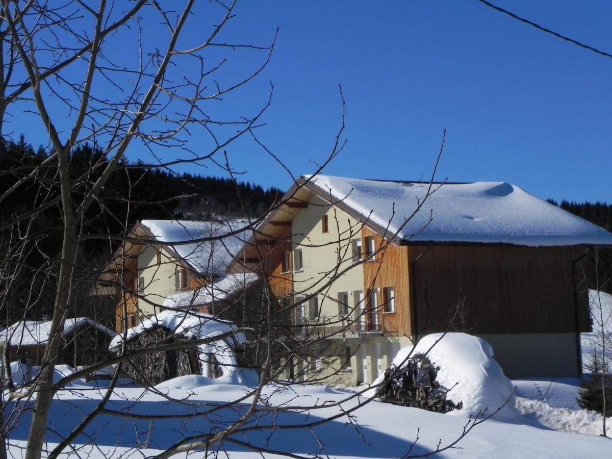 Appt 3* Le Haut Des Lacs Xonrupt-Longemer Exterior foto